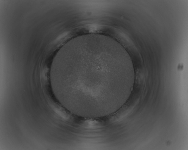 X0000096650650200802051156