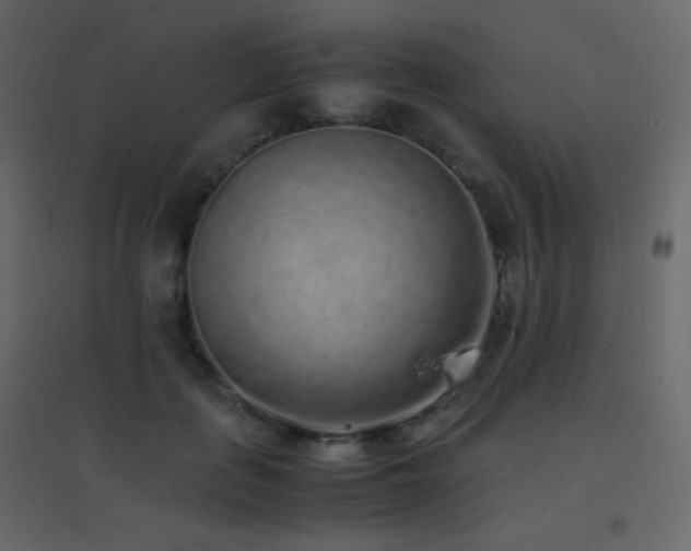 X0000096650651200802051156