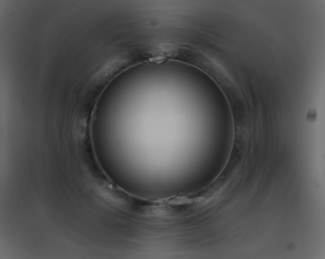X0000096650652200802051156