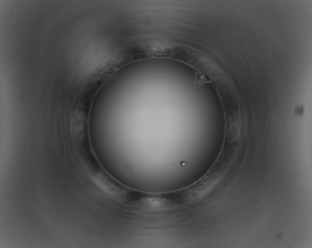 X0000096650654200802051156