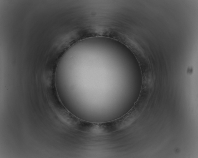 X0000096650656200802051156