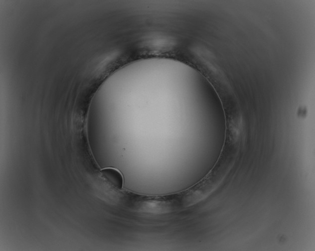 X0000096650657200802051156