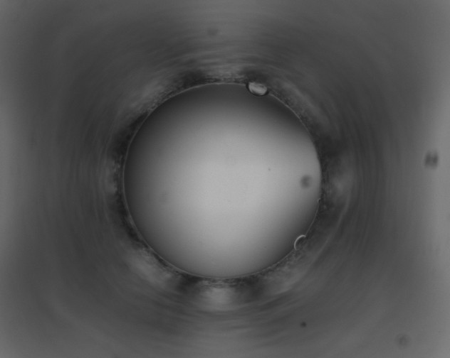 X0000096650658200802051156