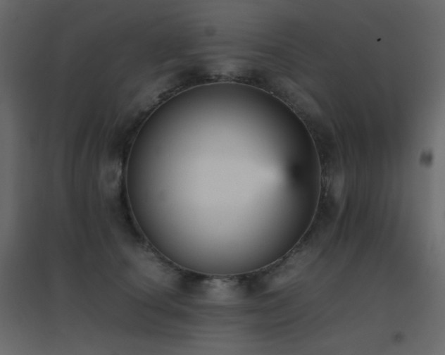 X0000096650660200802051156