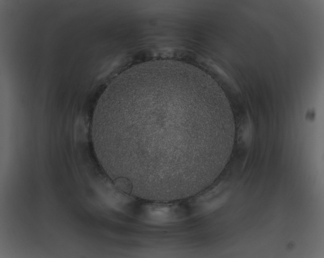 X0000096650661200802051156