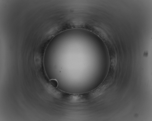 X0000096650662200802051156