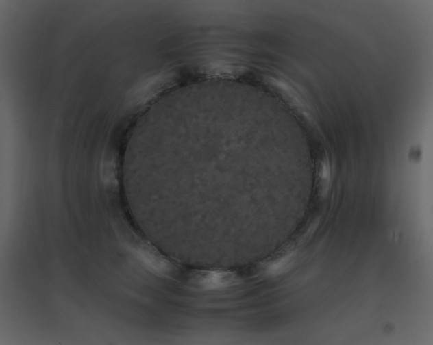 X0000096650663200802051156