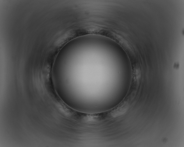 X0000096650664200802051156