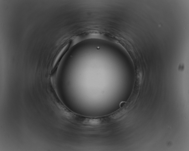 X0000096650665200802051156