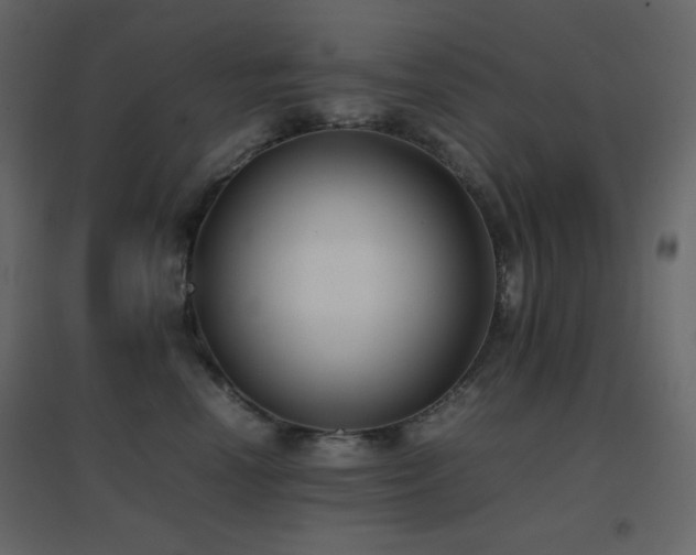 X0000096650666200802051156