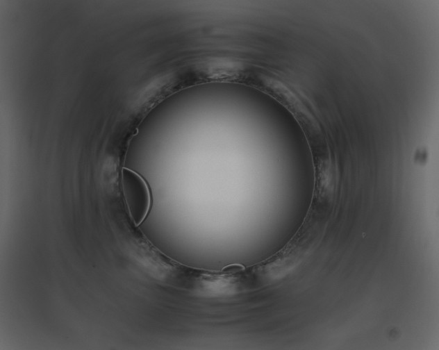 X0000096650667200802051156