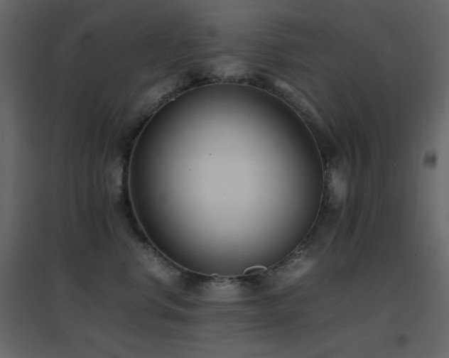 X0000096650668200802051156