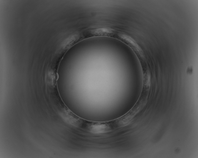 X0000096650669200802051156