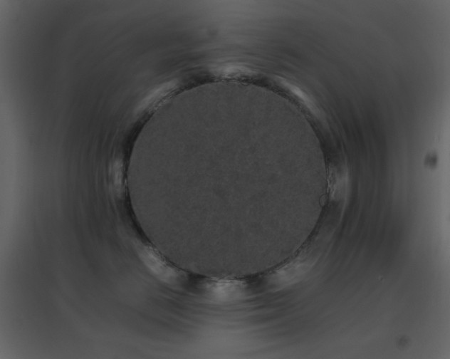X0000096650670200802051156