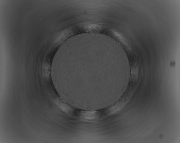 X0000096650671200802051156