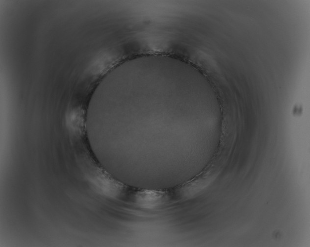 X0000096650672200802051156