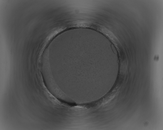 X0000096650673200802051156