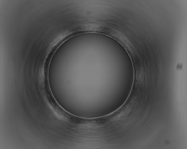 X0000096650674200802051156