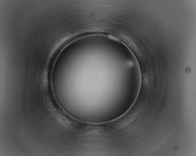 X0000096650676200802051156