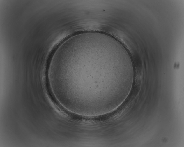 X0000096650677200802051155
