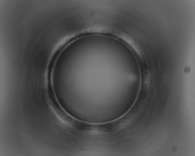 X0000096650678200802051155