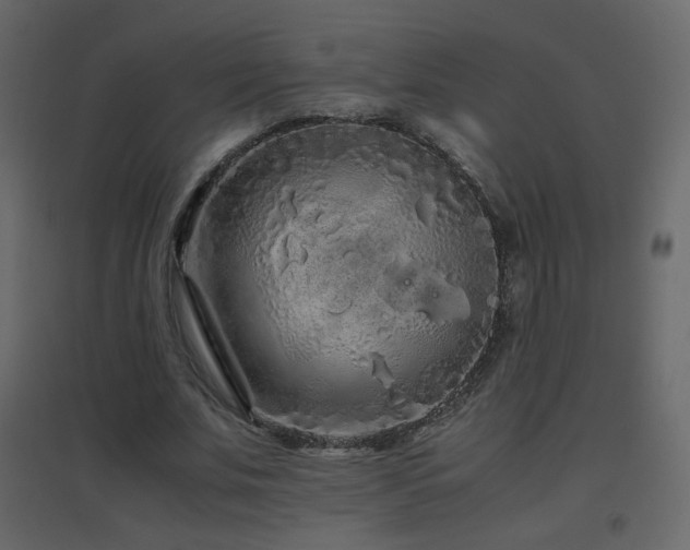 X0000096650679200802051155