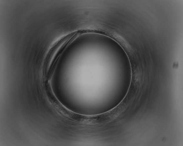 X0000096650680200802051155