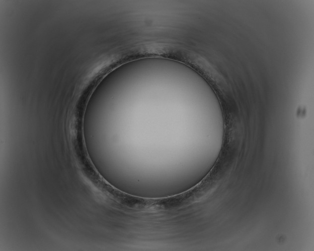 X0000096650683200802051155