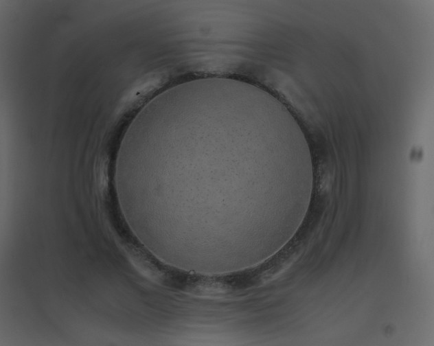 X0000096650685200802051155