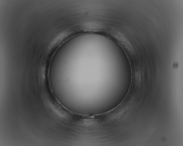 X0000096650686200802051155