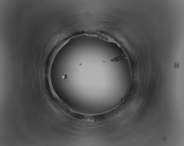 X0000096650687200802051155