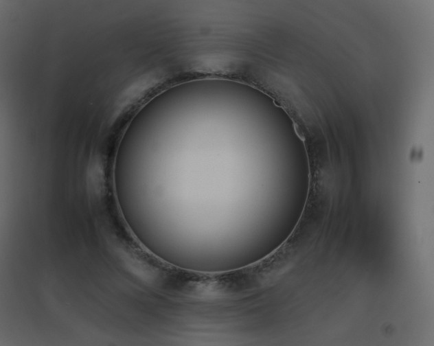 X0000096650688200802051155