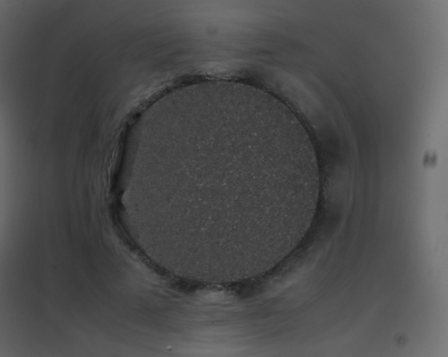 X0000096650689200802051155