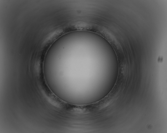 X0000096650690200802051155