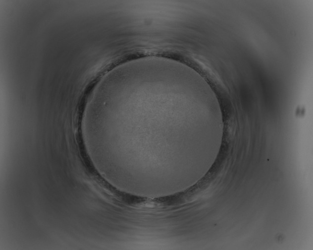 X0000096650691200802051155