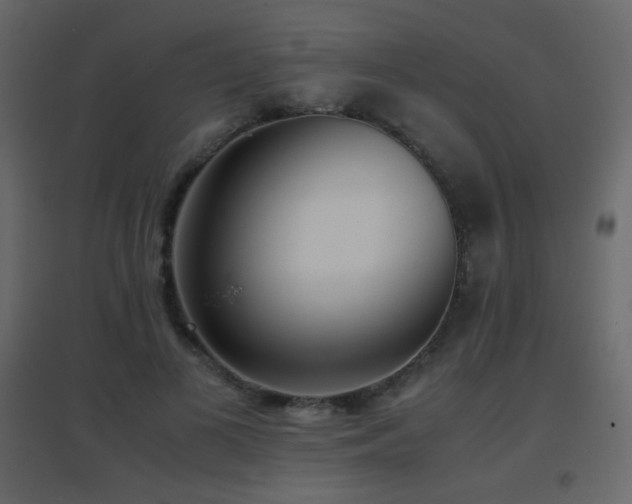 X0000096650693200802051155