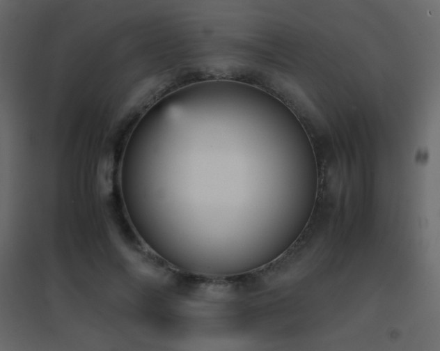 X0000096650694200802051155