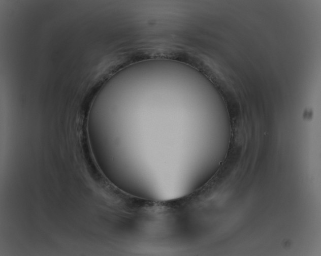 X0000096650695200802051155