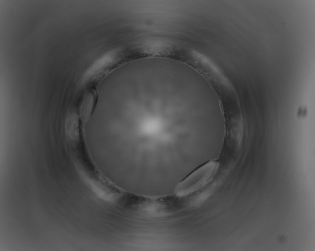 X0000096650696200802051155