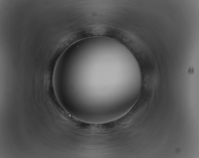 X0000096650697200802051155