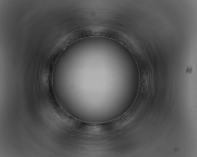 X0000096650698200802051155