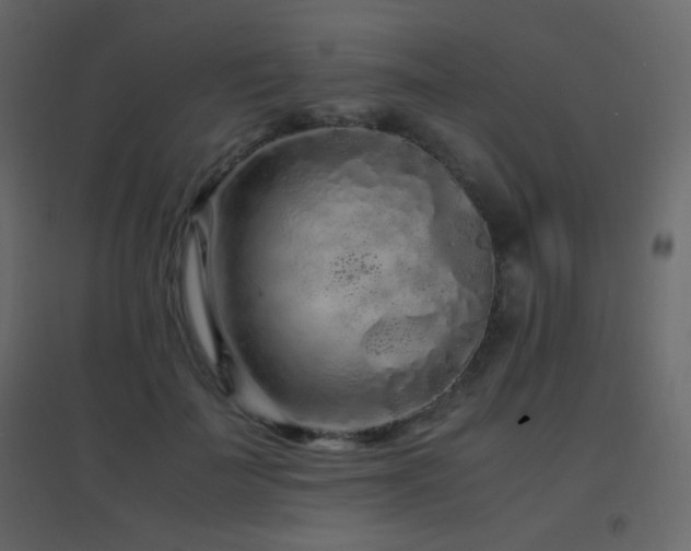 X0000096650699200802051155