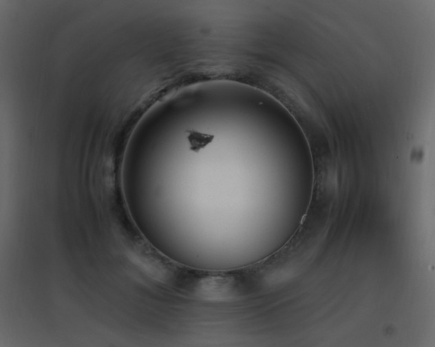 X0000096650700200802051155