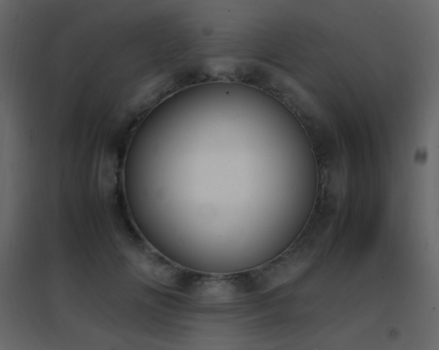 X0000096650702200802051155