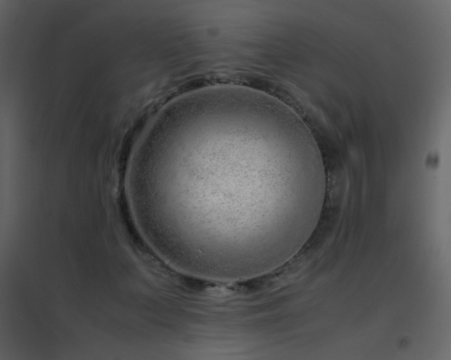 X0000096650703200802051155