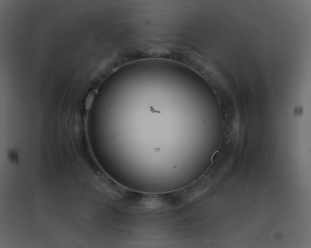 X0000096650704200802051155