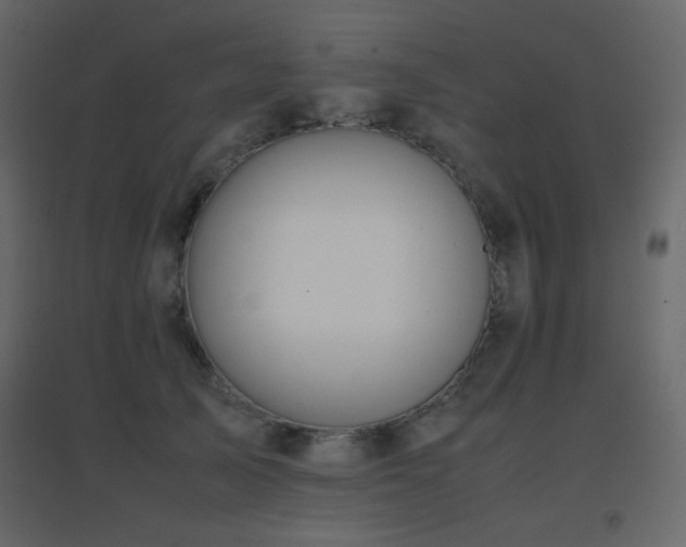 X0000096650705200802051155
