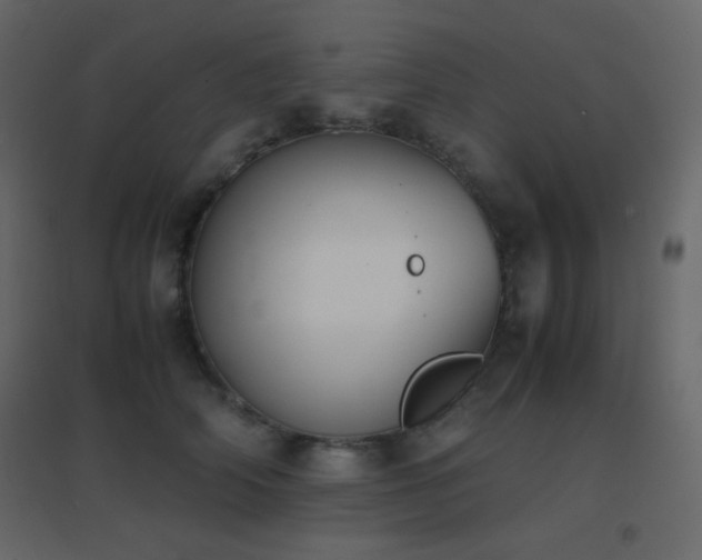 X0000096650706200802051155