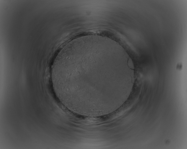X0000096650707200802051155