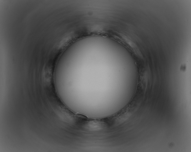X0000096650708200802051155